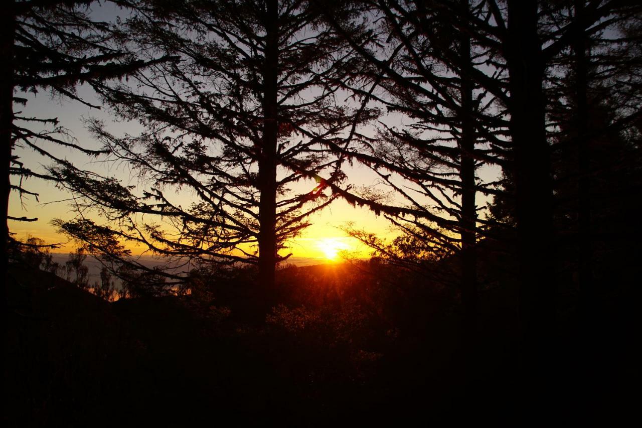 Pimenta Funchal Downtown Daire Dış mekan fotoğraf